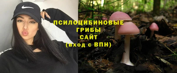 крисы Верхний Тагил